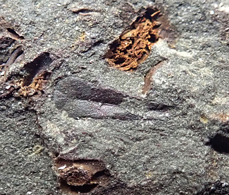 5 mm (sag), jinecké souvrství, stupeň drum, Jince - Vinice