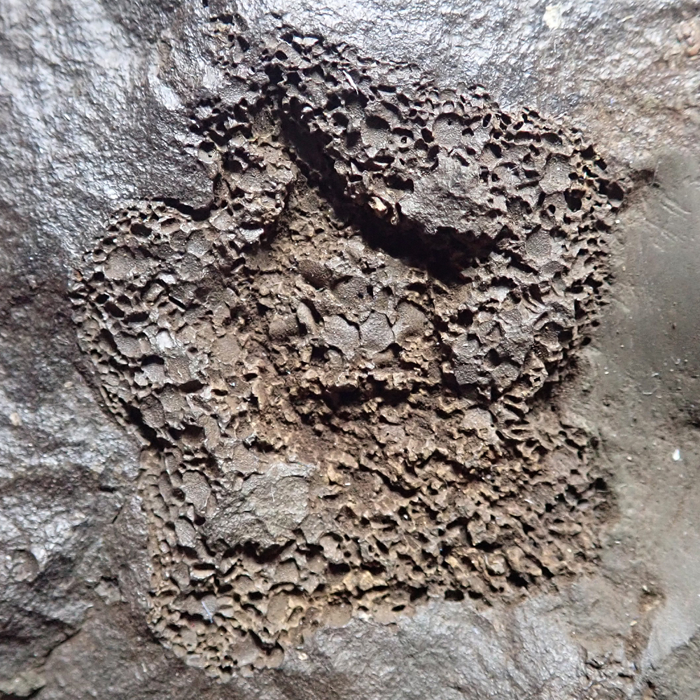 Detail 1