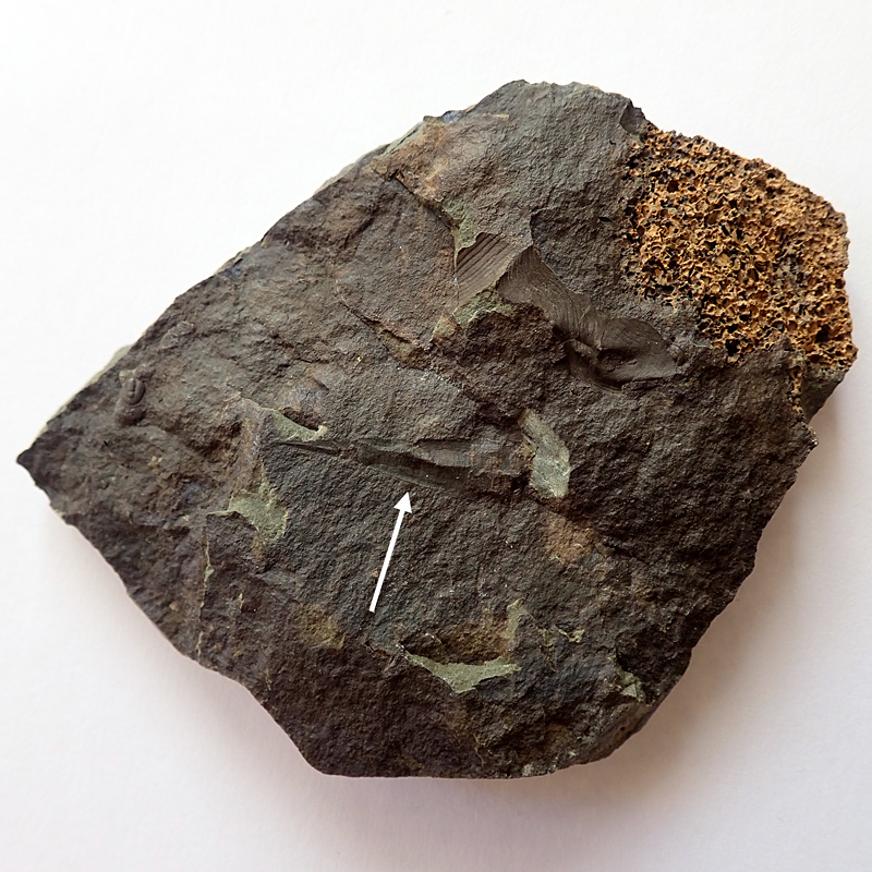 22 mm (sag), Jince